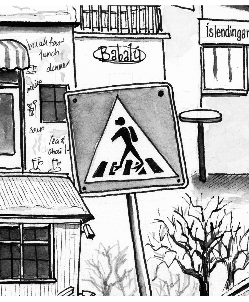 My Reykjavik/"Rayk-yah-veek"