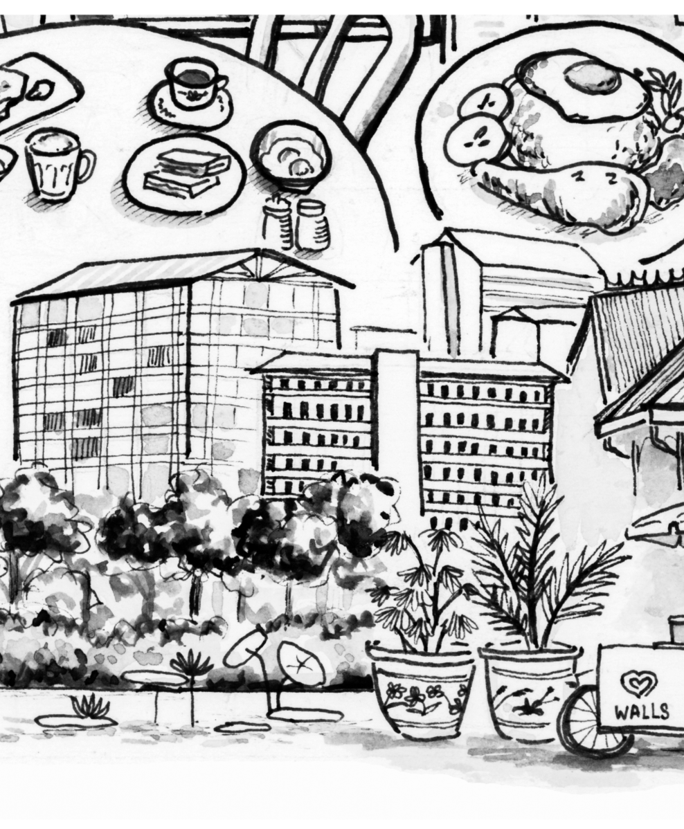My Singapore/新加坡