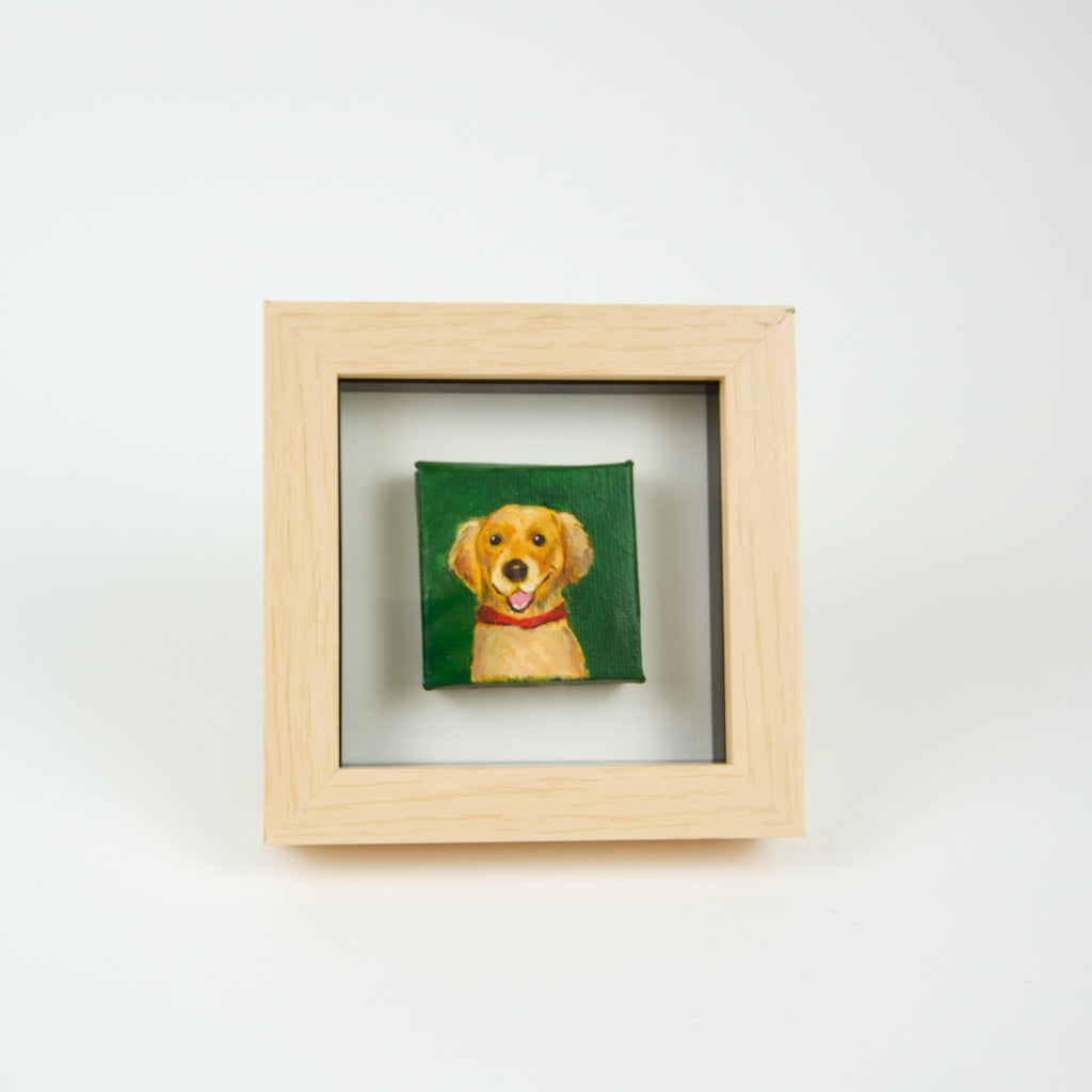 Very Tiny Pet Portrait
